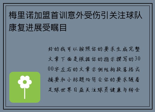 梅里诺加盟首训意外受伤引关注球队康复进展受瞩目